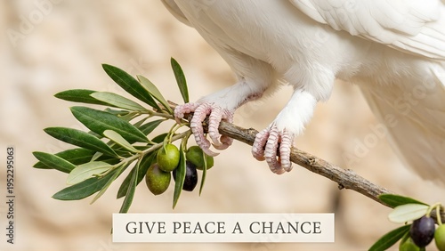 Close-Up White Dove Foot Holding Olive Branch in Soft Natural Light