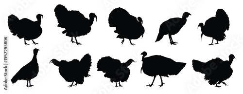 turkey silhouette set. turkey isolated farm animal silhouette icon vector collection