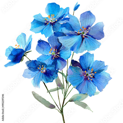 Bouquet of Blue Flowers Watercolor Isolated on White Background for Creative Designs