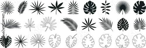 Tropical leaves silhouette vector set with palm leaves, monstera, and exotic foliage, diverse black botanical shapes collection for design elements, branding, packaging, and decorative graphics