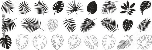 Tropical leaves silhouette vector set with palm leaves, monstera, and exotic foliage, diverse black botanical shapes collection for design elements, branding, packaging, and decorative graphics