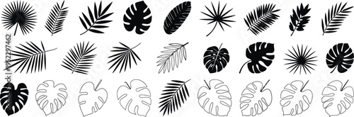 Tropical leaves silhouette vector set with palm leaves, monstera, and exotic foliage, diverse black botanical shapes collection for design elements, branding, packaging, and decorative graphics