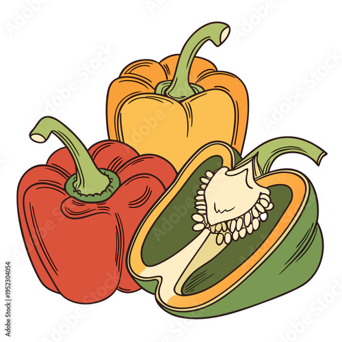 Group of red yellow and half green bell pepper illustration