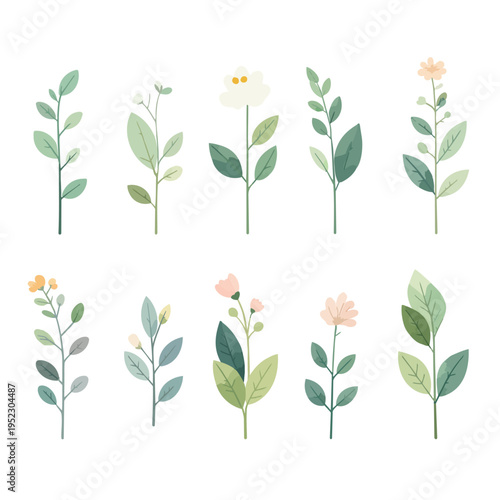 草と花のコレクション　草花の手描き風ベクターイラスト