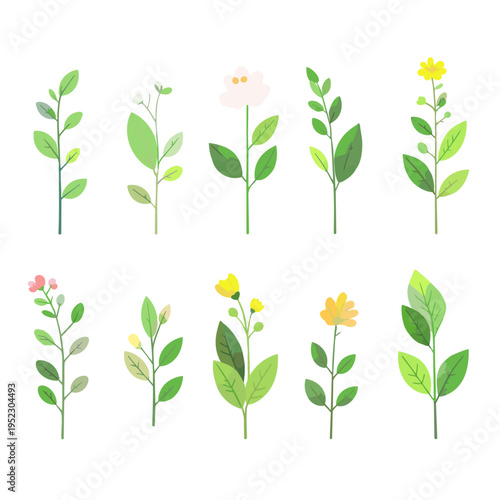 草と花のコレクション　草花の手描き風ベクターイラスト