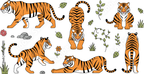 Modern flat vector tiger collection featuring wild cats in walking stretching and sitting poses with jungle leaves tropical plants and forest elements.
