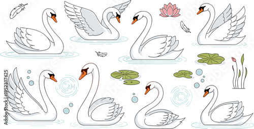 Graceful white swan vector set in clean line art style featuring birds swimming in pond with lotus flowers lily pads and feathers for elegant nature designs.