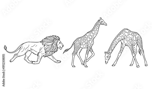 African safari animal outline vector collection with running lion and grazing giraffes minimalist wildlife line art