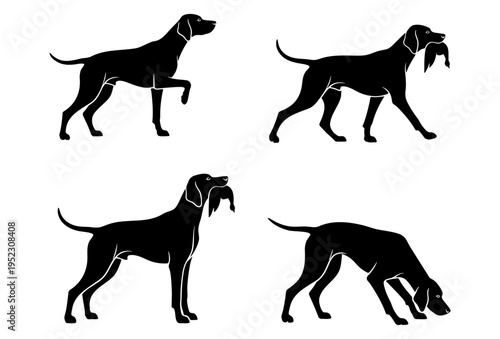 Four black dog silhouettes walk and sniff on white background with hunting prey