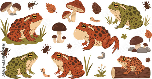 Spotted forest toad vector illustration set featuring red and green frogs with wild mushrooms beetles worms and autumn leaves for nature and wildlife designs.