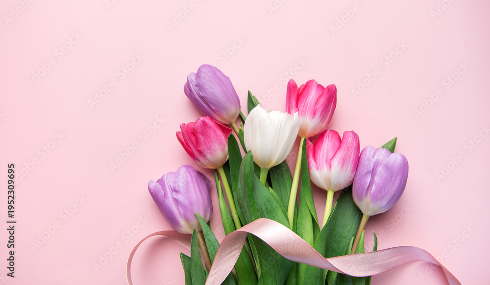 Obraz premium Tulip bouquet on pink background with ribbon celebrating spring