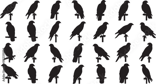 flock of perched bird silhouettes on branches vector illustration