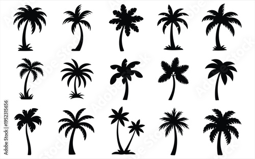 Black silhouette collection of various tropical palm trees