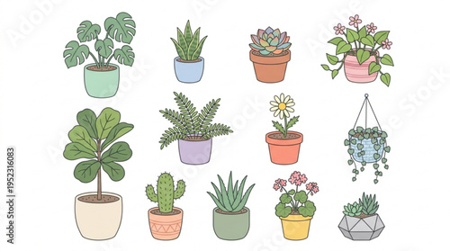Colorful potted plants and succulents in various pots on a white background for decoration and interior design
