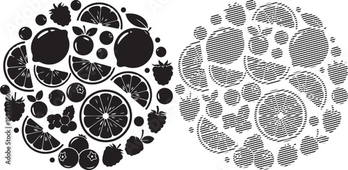 Dual visual representations of complex fractal patterns and cellular structures in black and white