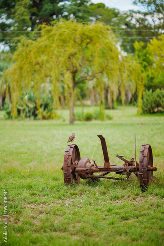 old rusty plow abandoned in a green park lawn with an owl sitting on it