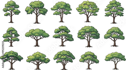 Tree illustrations, diverse foliage, botanical design, seasonal nature, forest plants, educational vector artwork