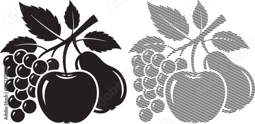 Vintage illustration of grapes and peaches with foliage in a crosshatched style