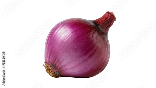 Tableau sur toile Fresh whole red onion isolated on a transparent background, a vibrant raw vegeta