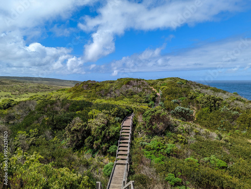 Fotografija Wooden boardwalk winding through coastal scrubland on green hillside overlooking