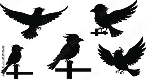 Bird Silhouette Illustration Set Featuring Various Flying and Perching Birds for Nature, Wildlife, and Avian Art Designs