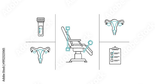 Gynecological Medical Equipment and Reproductive Organs.