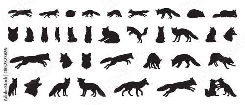 black fox silhouettes showing diverse postures and gestures including sitting, stretching, sleeping, alert stances, useful for study, editorial, animation reference and character design