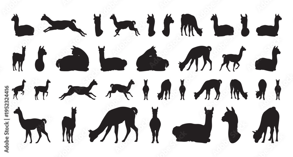 Fototapeta premium Alpaca figures playful. Adorable alpaca outlines for children. Joyful silhouettes of alpacas for kidfriendly designs. Friendly black alpaca shapes perfect for nursery art and stickers