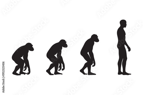 Evolution of human from ape to modern man