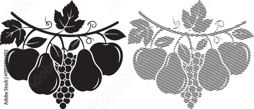 Black and white illustration of grapes and grapevine patterns with different artistic styles