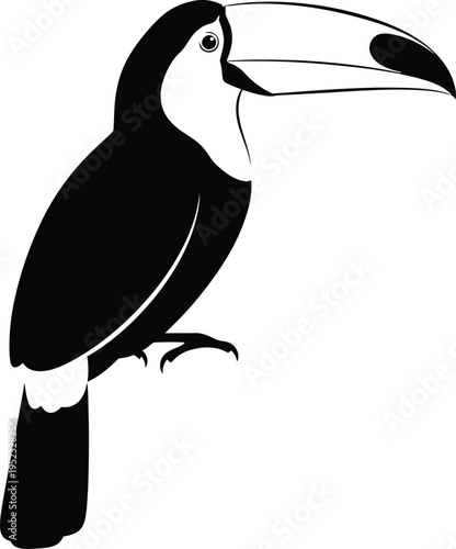 A black and white illustration of a toucan bird with a large beak