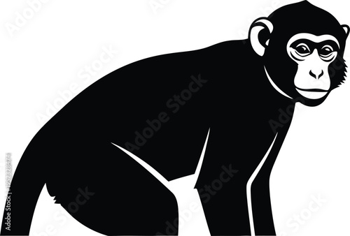 A black and white illustration of a chimpanzee in a crouched position looking to the right