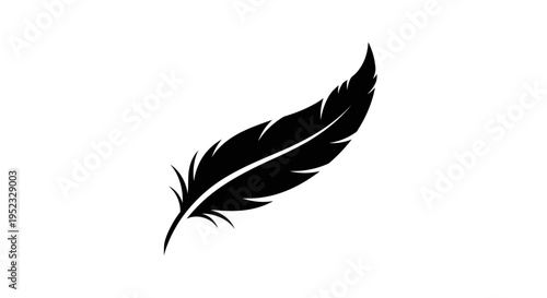 Black feather silhouette against a white background.