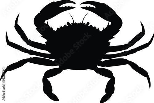 A black silhouette of a crab on a white background