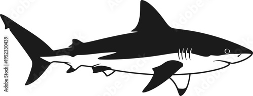 A black and white illustration of a shark swimming in the ocean with a small fish