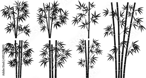 bamboo, silhouettes, black, vector, isolated, asian, plant, nature, design, elements, decorative, tropical, leaves, stems, botanical, illustration, minimal, graphic, set, collection
