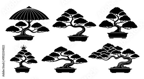 Bonsai Tree Silhouettes: Collection of Miniature Japanese Plants