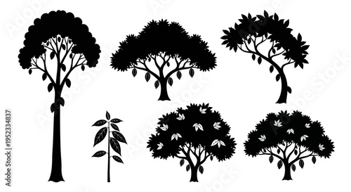 Cocoa Tree Silhouettes - Cacao Pods and Leaves