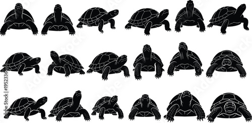 Turtle silhouettes set, tortoise collection in various poses, reptile animal illustration, detailed shell shapes, black vector isolated wildlife design