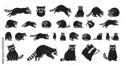 Serene raccoon taking tranquil nighttime nap. Calm raccoon sleeps peacefully in cozy curled position during night. Tranquil raccoon rests peacefully in curled ball shape throughout quiet night