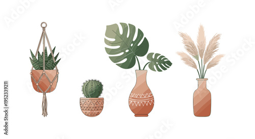 Potted plants in different vases indoor.