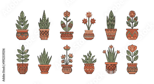 Potted plants in brown pots.