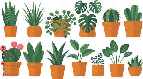 Various potted houseplants and succulents set. exotic indoor decorative plants in pots on white background