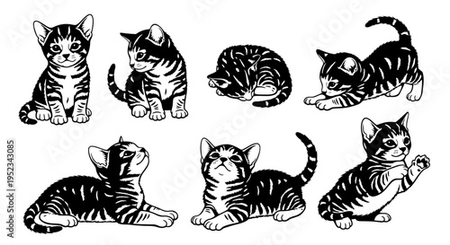 Set of Adorable Tabby Kittens in Various Playful Poses, Black and White Illustration