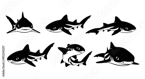 Set of Black and White Shark Illustrations: Front View, Side View, and Dynamic Poses
