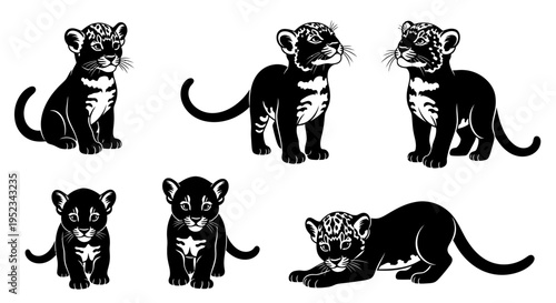 Set of Black and White Silhouette Illustrations of Cute Baby Panthers