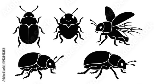Set of Black Beetle Silhouettes, Vector Icons, Insect Collection