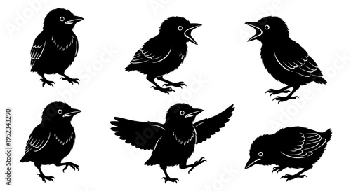 Set of Black Bird Silhouettes: Cute Chicks in Various Poses, Vector Graphics
