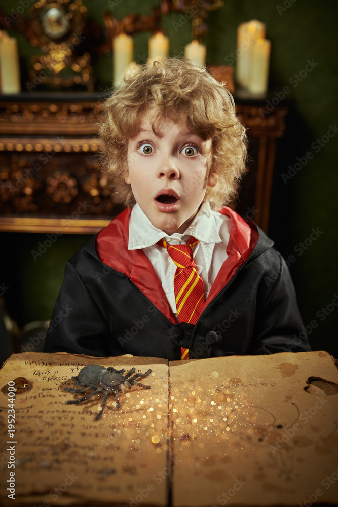 Fototapeta premium Quest Surprise Spellbook