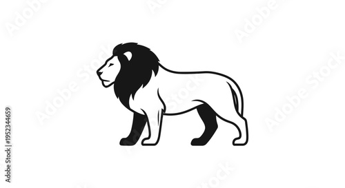 Black and white lion standing still.